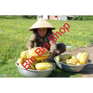 Hạt giống Dưa lê quả dài Yang Jiao Mi F1 - Dưa lê chuối GÓI 20 HẠT luckyseed hạt siêu rẻ