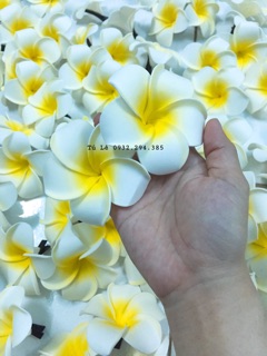 KẸP HOA SỨ 7cm