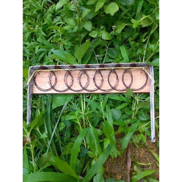 Thòng khung cút giá rẻ mới nhất 2021