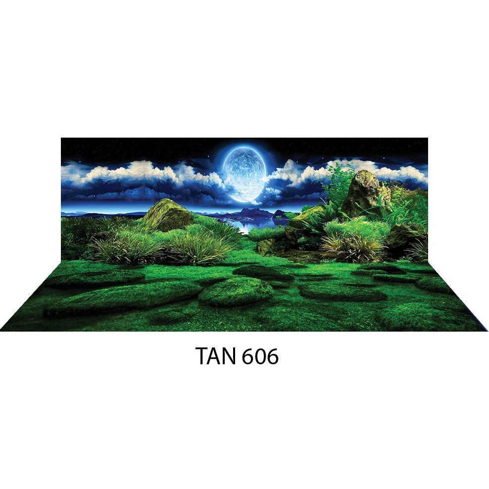 Tranh dán hồ cá 3D - dài 60cm x cao 40cm