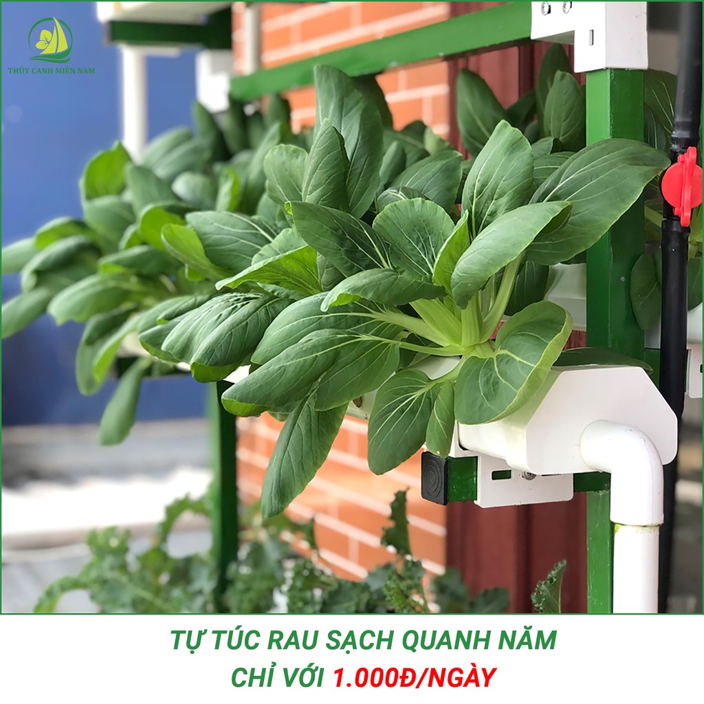 Giàn thuỷ canh thông minh cho người mới bắt đầu | 60 lỗ rau