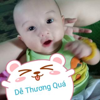 Heo Đất Tiết Kiệm