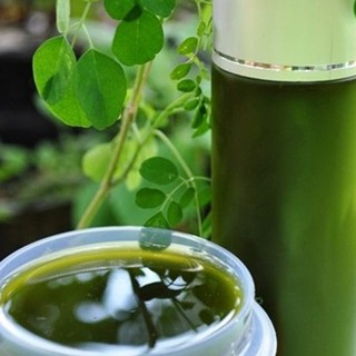 Bột Rau Ngót 100g