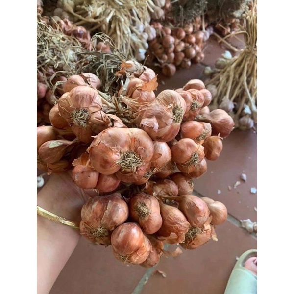 Hành khô Kinh Môn Hải Dương