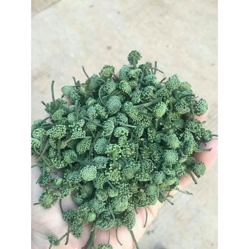 500g nụ hoa tam thất bao tử