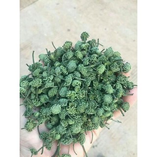 500g nụ hoa tam thất bao tử