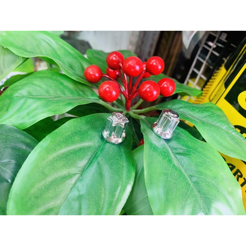 Van vòi Inoc Salaya gắn mọi loại xe