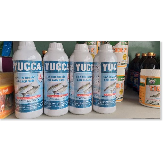 (Thuốc Thủy Sản) YUCCA- hấp thu khí độc làm sạch nước ao nuôi trồng thủy sản