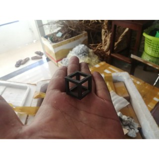 đồ chơi tép