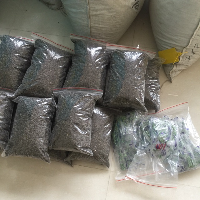 1 kg hạt hoa sao nhái