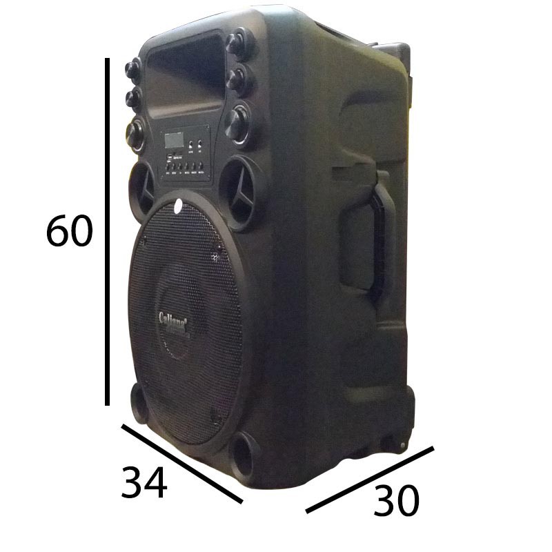 Loa kéo di động Caliana T012B