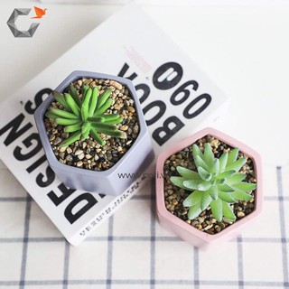 [Chậu xi măng cao cấp Cori] Chậu lục giác mini - The Hexagon
