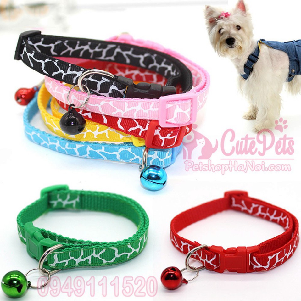 🎀 Vòng cổ chuông nhiều màu dành cho thú cưng - CutePets Phụ kiện chó mèo Pet shop Hà Nội Hàng chính hãng