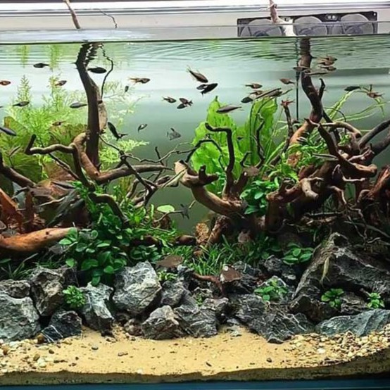 Cát, Sỏi Nắng Vàng 3 Kích Cỡ Hạt- Túi 500gr