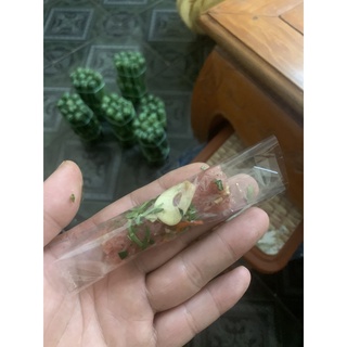 Nem chua loai 1