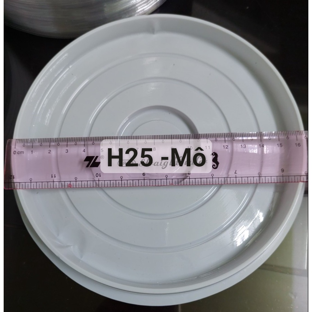 Lốc 50 -100 Hộp Nhựa Tròn  H25 Mô - Vòm