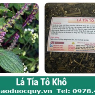 1kg Lá tía tô khô ch ữa cảm hiệu quả và an toàn