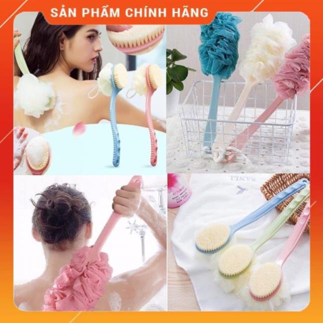 Cây bông tắm chà lưng cực thích