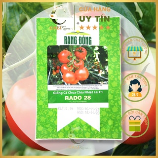 Hạt Giống Cà Chua Chịu Nhiệt F1 Rado 28