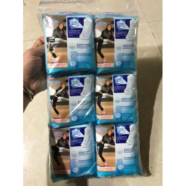 Combo 6 gói Băng vệ sinh Diana SenSi Cool Fresh Siêu mỏng không cánh 23cm 8miếng