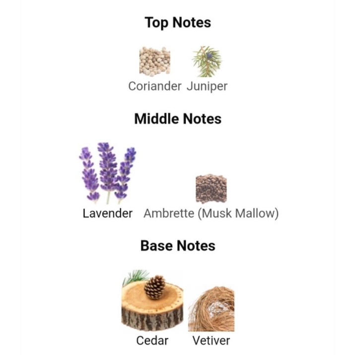 Nước hoa VT x BTS - Eau de Bois - mùi của RM / Namjoon