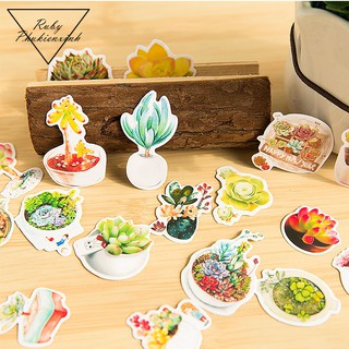 Sticker Theo Chủ Đề- STK3.1
