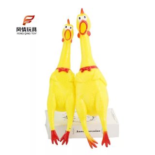 Gà bóp kêu Shrilling Chicken