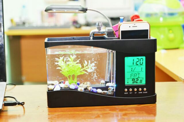 BỂ CÁ MINI USB ĐỂ BÀN THÔNG MINH | BigBuy360 - bigbuy360.vn