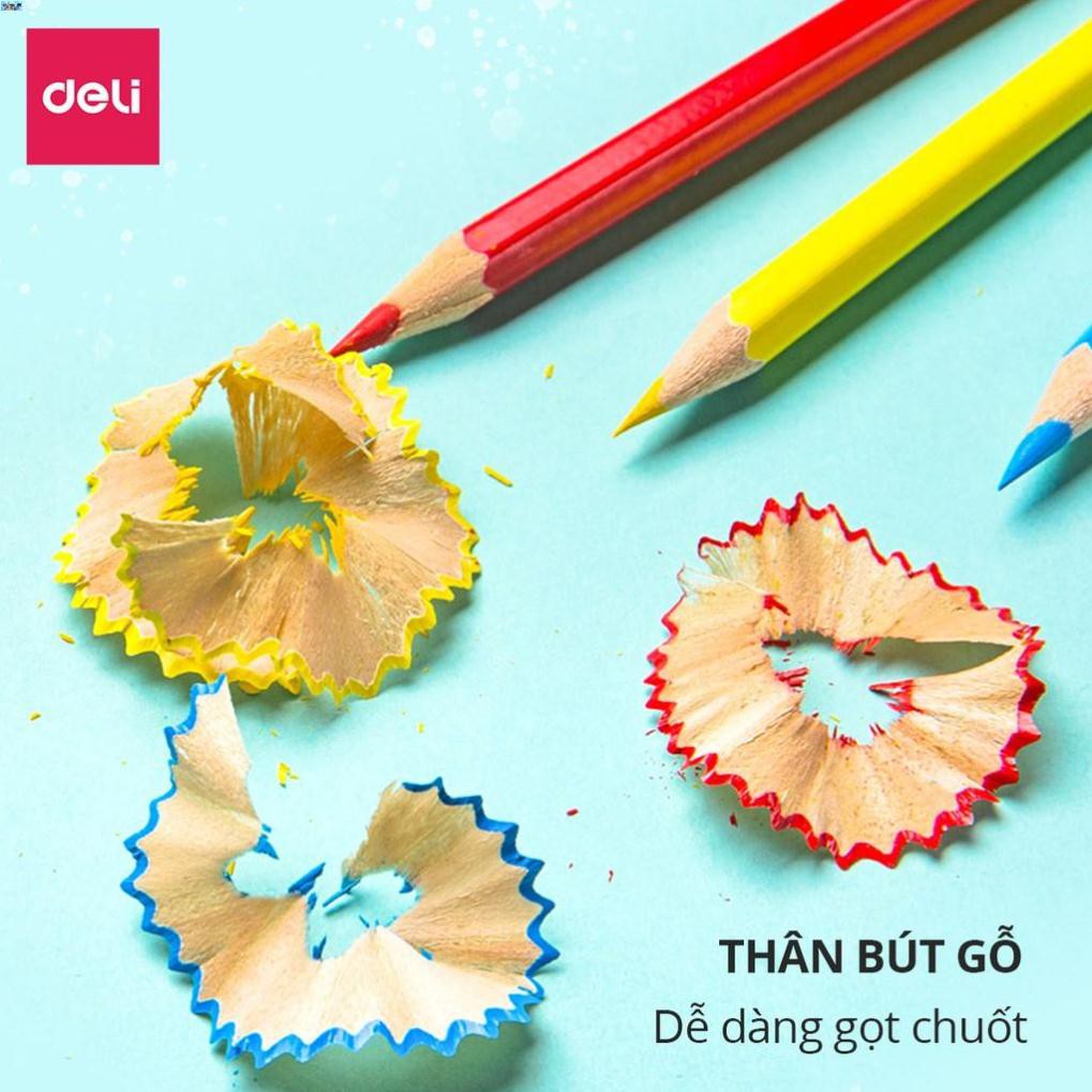 Bút chì màu chuyên nghiệp dạng cốc Deli 24/36/48 màu - 68123/68124/68125 .