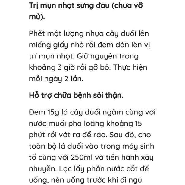 1kg Cây duối - duối nhám - hoàng anh mộc tươi