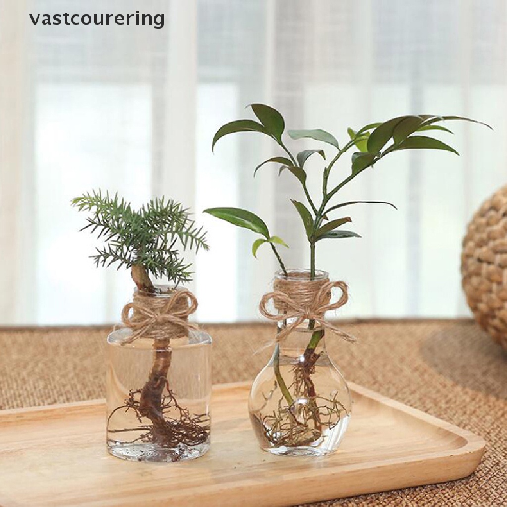 Chậu Hoa Thủy Canh Bằng Nhựa Trong Suốt Thiết Kế Đơn Giản