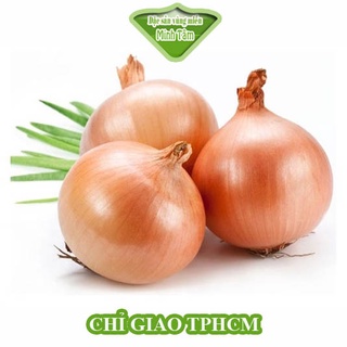 Hành Tây Đà Lạt loại 1 [CHỈ GIAO TPHCM]