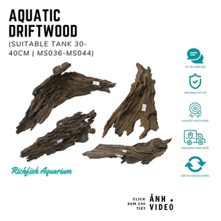 Gỗ lũa dùng setup layout bể cá cảnh thủy sinh từ 30-50cm (Ms036-Ms044)