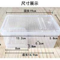 Tank mini có gờ leo