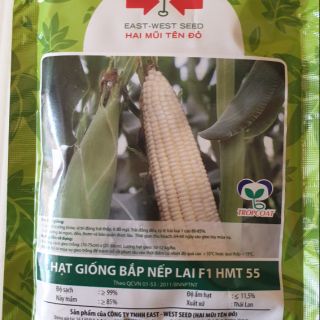 Hạt giống bắp nếp lai F1 HMT 55 gói 100 gr