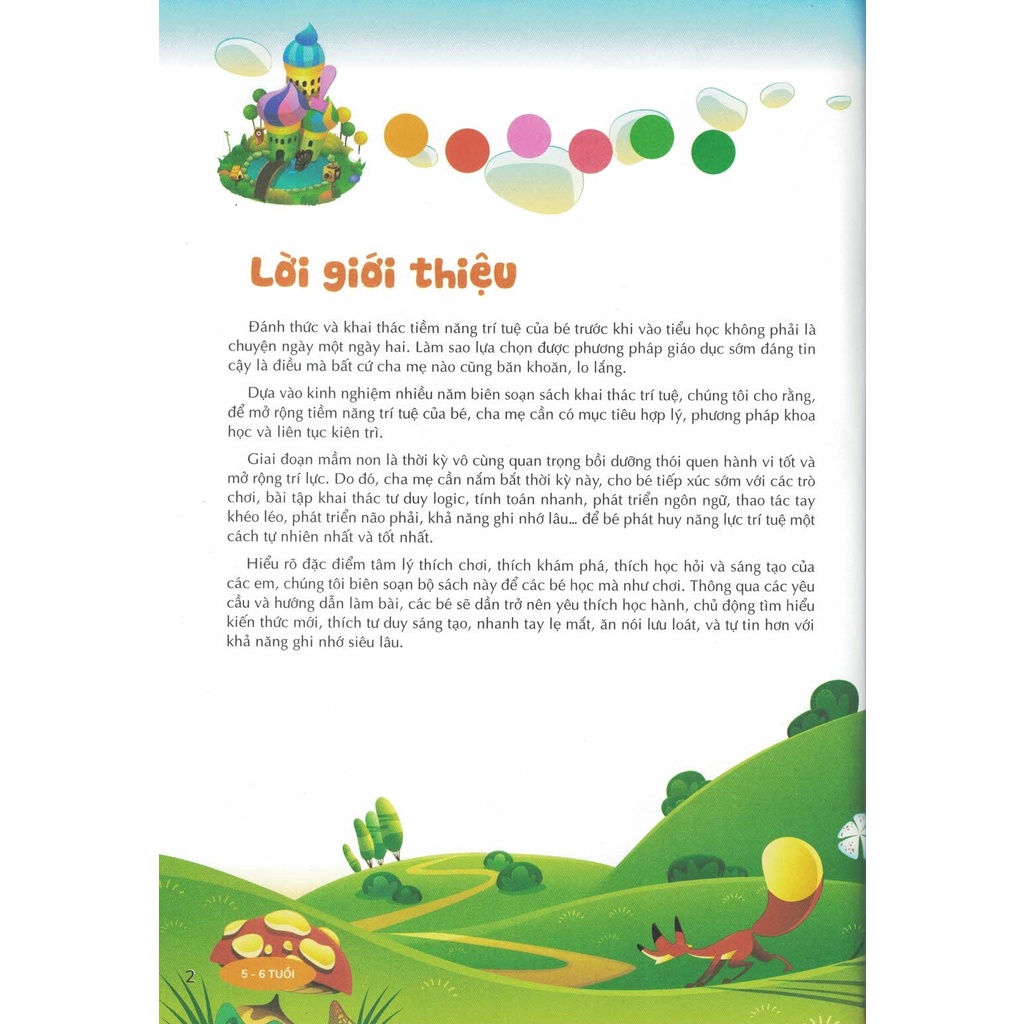 Sách - Đánh Thức Tiềm Năng Trí Tuệ - Chú Tâm, Sáng Tạo (5-6 Tuổi)