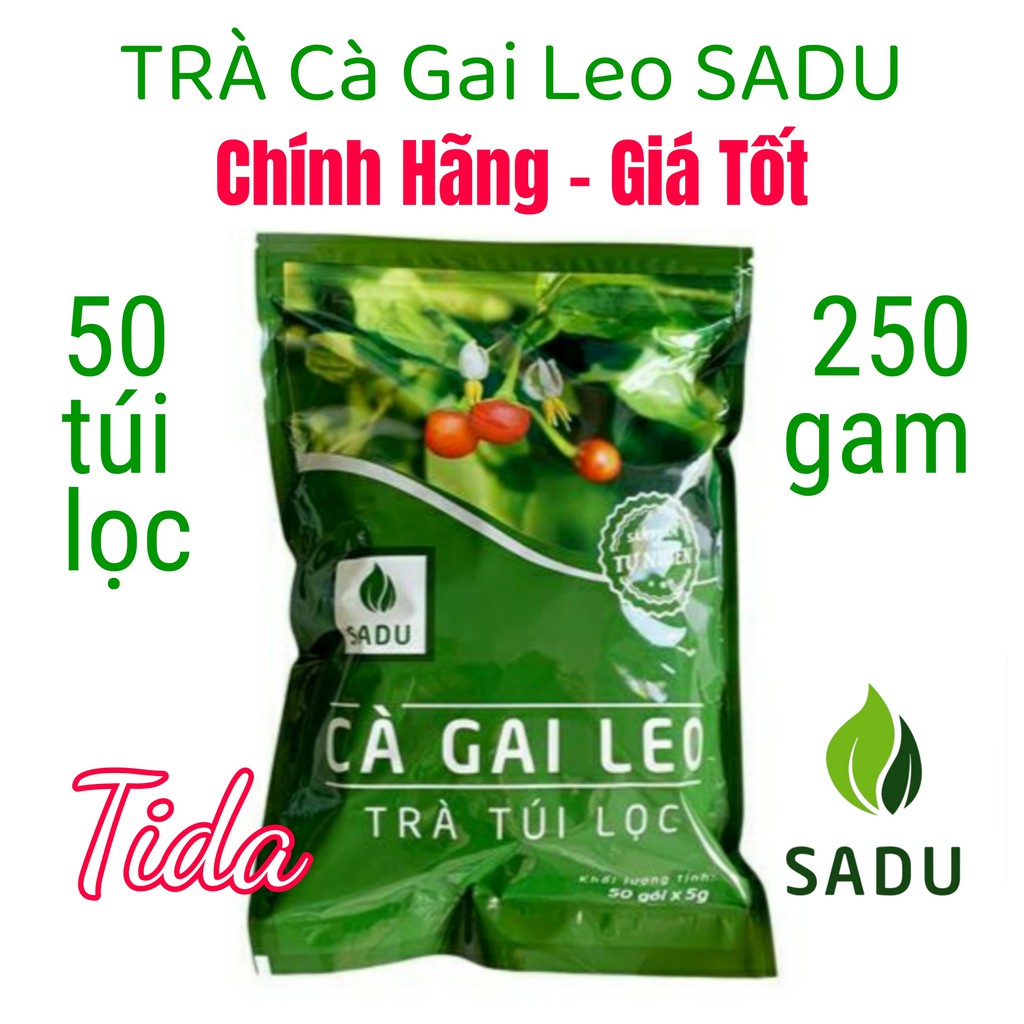 Trà Túi Lọc Cà Gai Leo SADU (250 gam / 50 túi lọc)