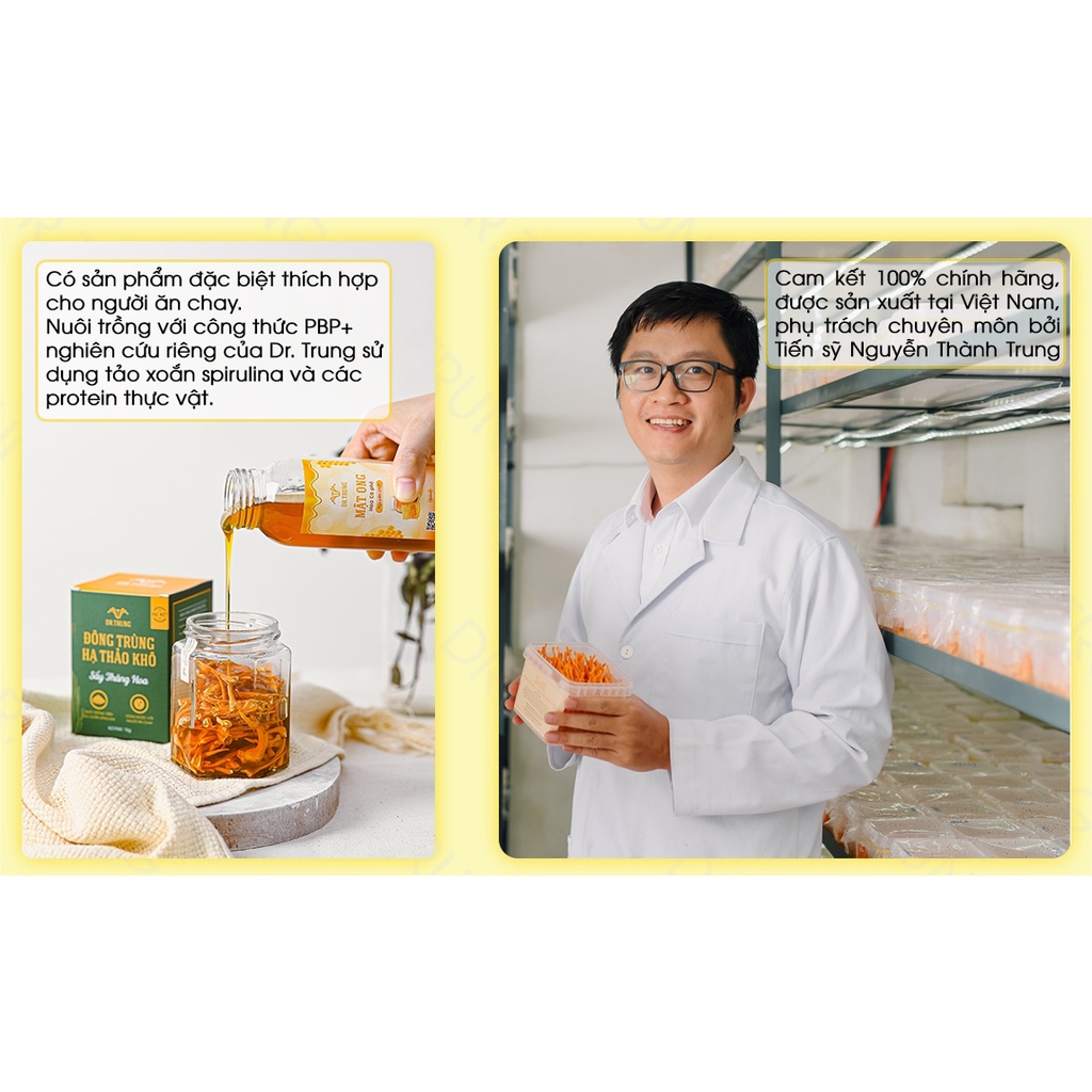 Đông trùng hạ thảo khô Dr. Trung  Sấy thăng hoa loại Cao cấp không phải sấy nhiệt