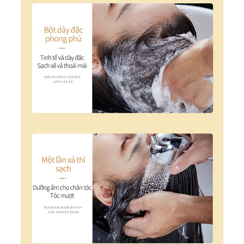 Dầu gội thảo dược gừng tươi ngăn ngừa rụng tóc chống ngứa giảm gàu kiềm thoáng mát kiềm dầu 500ml