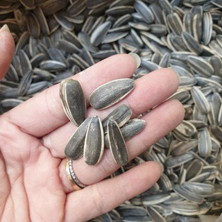 100g hạt hướng dương
