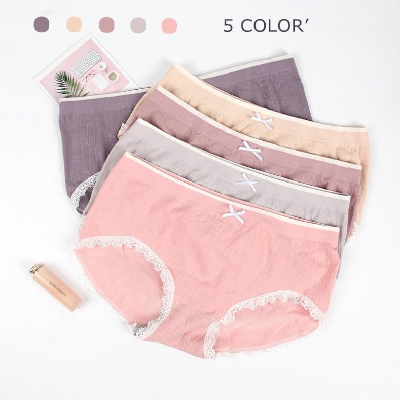 Hộp 5 Quần Lót Cotton Thiên Nga Dễ Thương Co Giãn 4 Chiều Cao Cấp