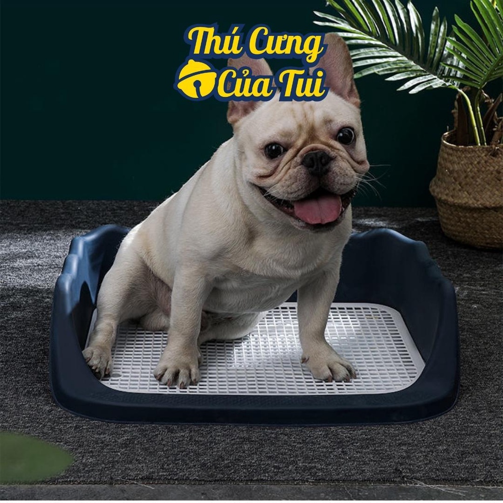 Khay vệ sinh cho chó thành cao lượn sóng - Thú cưng của tui
