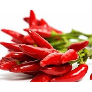 Hạt giống ớt chỉ địa (30h)