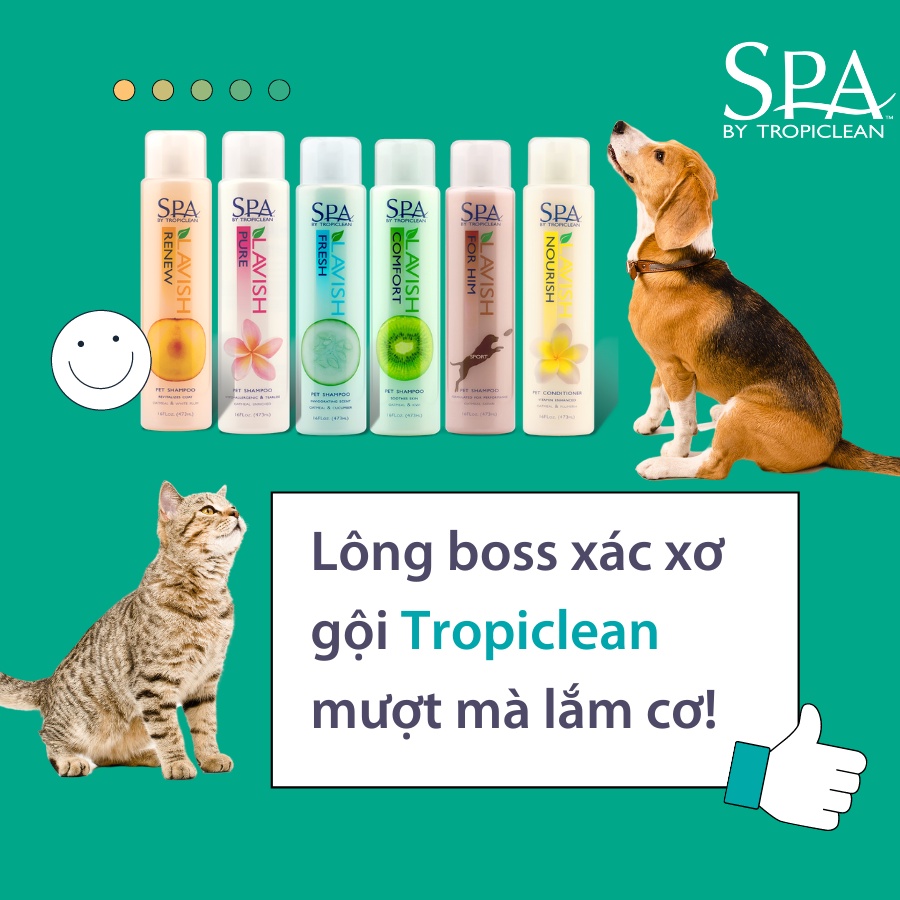 TROPICLEAN_SỮA TẮM CHẮM SÓC LÔNG CHO THÚ CƯNG