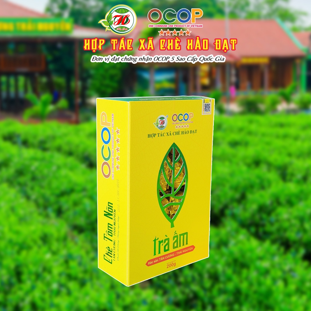 Chè Thái Nguyên Tân Cương HẢO ĐẠT Hộp Trà Ấm Vàng  200g/ 1hộp