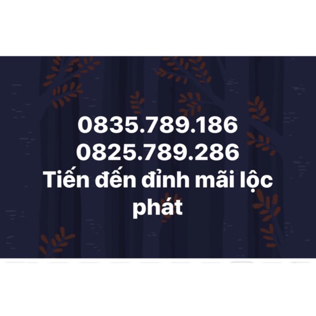 Sim vina đẹp,sim cặp 690k/1 sim