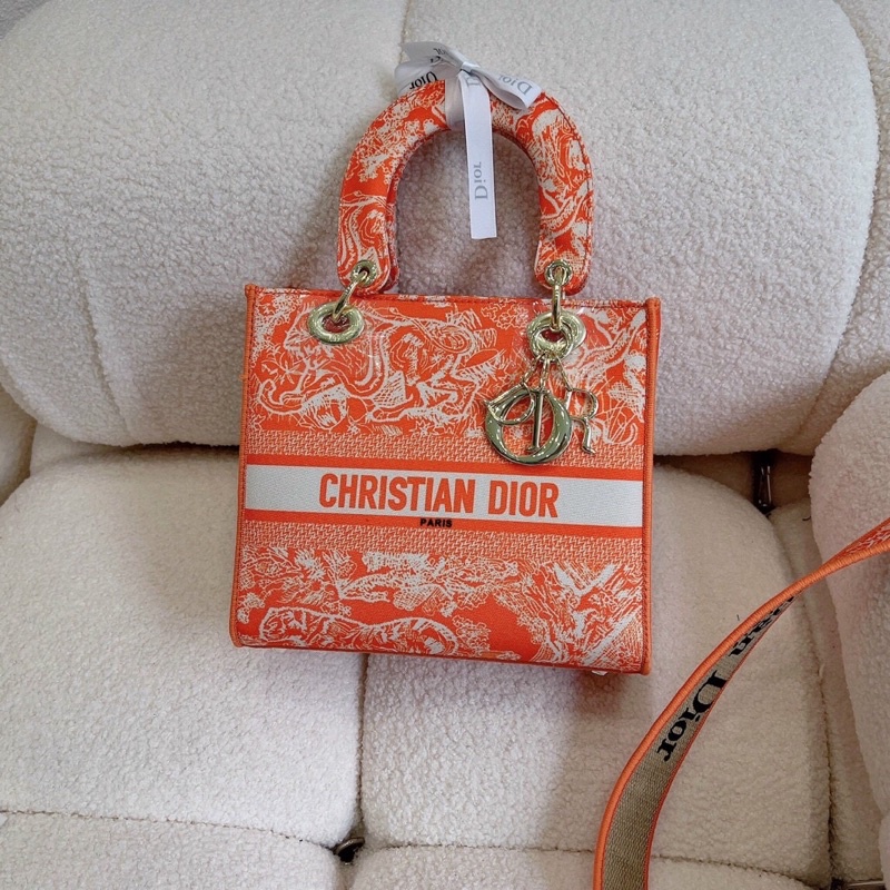 Medium lady dior bag spsl