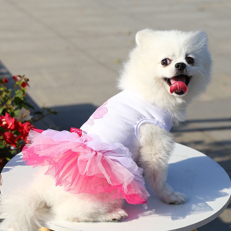 Áo cho chó mèo - Váy đầm cho chó mèo kiểu dáng công chúa dễ thương siêu kute cho các Boss