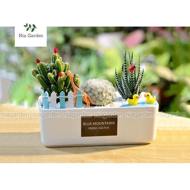 Phụ kiện bọ cánh cam trang trí tiểu cảnh cây cảnh hồ cá Nia Garden N5