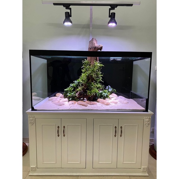 ĐÈN RỌI RAY WEEK RGB 35W CHIẾU SÁNG CHO CÂY TRONG NHÀ - ĐÈN CHÍNH HÃNG WEEK